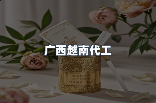 广西越南代工